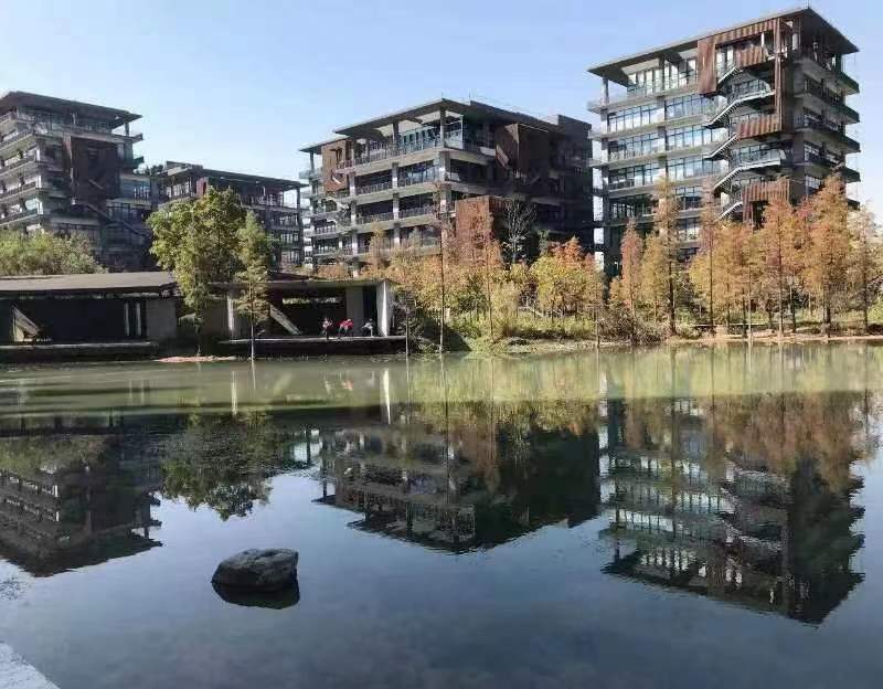 梧桐島1.jpg 梧桐島1.jpg